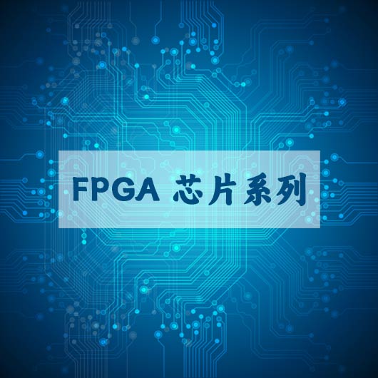 FPGA 芯片係列